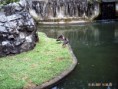 /album/passeio-na-bica/ogaaaafgar4uubtl7j2j4j9tzclma2jec3hgfz-3fc-cg7mafxg6lufcfntsx8rll4i2xt1dibfd46eczgitqogmxpkam1t1ul-vtbny7bkfs1uhkakglzmcxbj8-jpg/