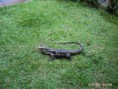 /album/passeio-na-bica/ogaaanpryylem1t5dozb2oyxmgxm5p4fhjpzshqgdyh8orzpvrv5ibivq-lnmbfek4bmfhpbdcwhgq8zhk49j7vrywaam1t1udxaopqffqtyrxtzskv3boxbjquc-jpg/